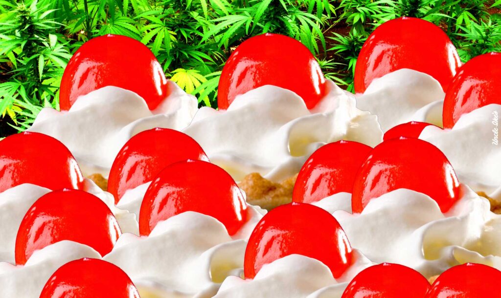 Featured image for A True Story of Maraschino Cherries, the Mafia, Marijuana and Bright Red Bees