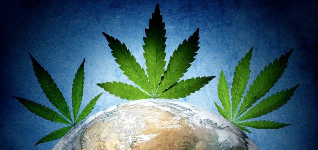 Featured image for 5 Places to Live If You Love Marijuana