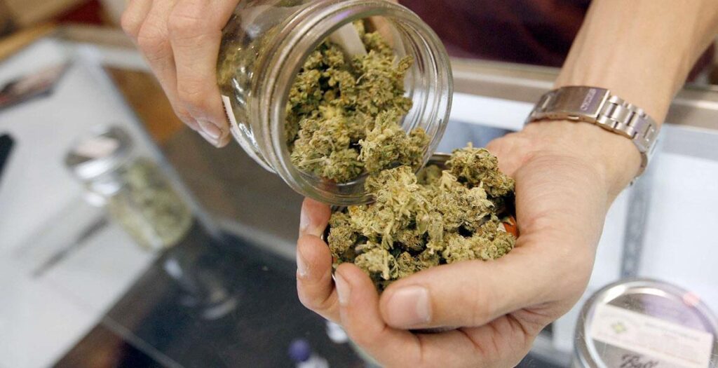 Featured image for Medical Marijuana Better Than Recreational Marijuana? Not.